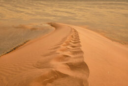 Namibia_August (100/135)